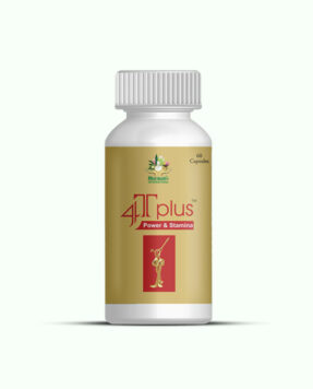 Ayurvedic Treatment for Impotence