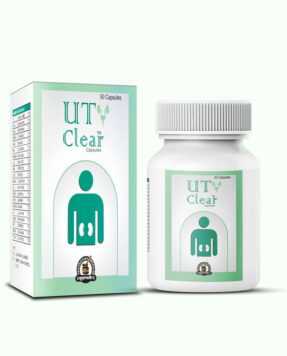 Ayurvedic Kidney Cleansing Pills