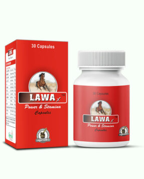 Premature Ejaculation Ayurvedic Treatment