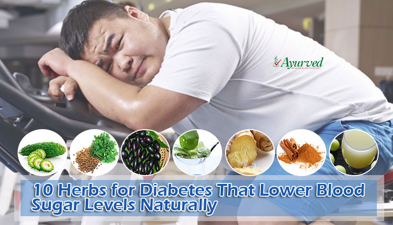 Best Herbs for Diabetes