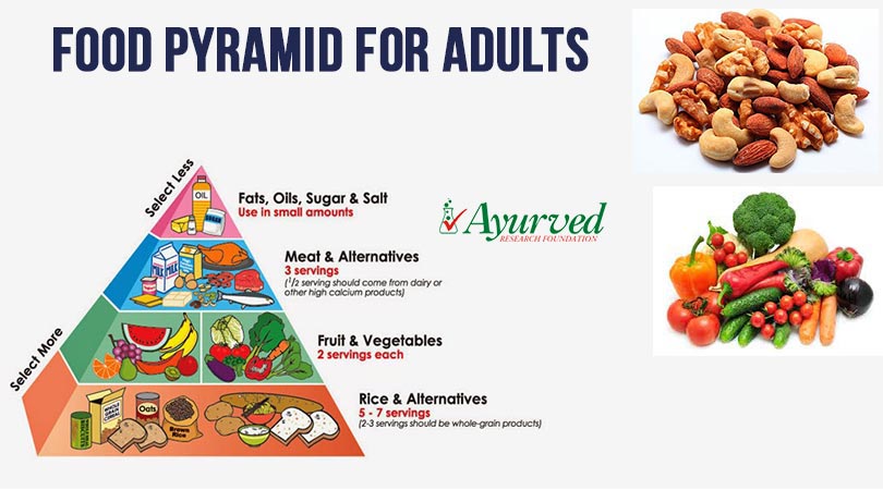 Food Pyramid for Adults