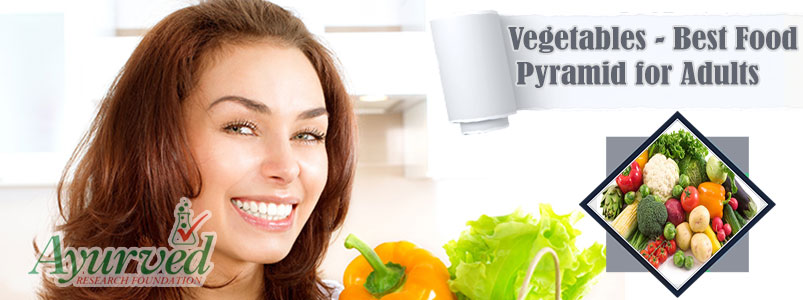 Vegetables  Best Food Pyramid for Adults