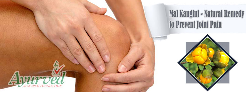 Natural Remedy to Prevent Joint Pain