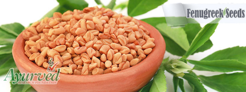 Fenugreek Seeds