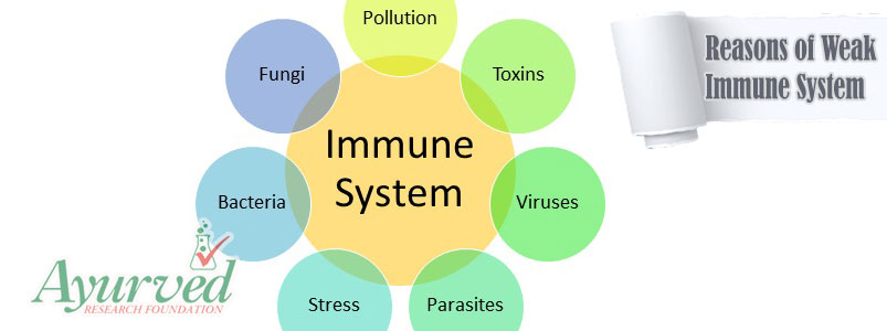 Reasons of Weak Immune System