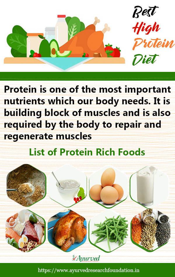 Best High Protein Diet