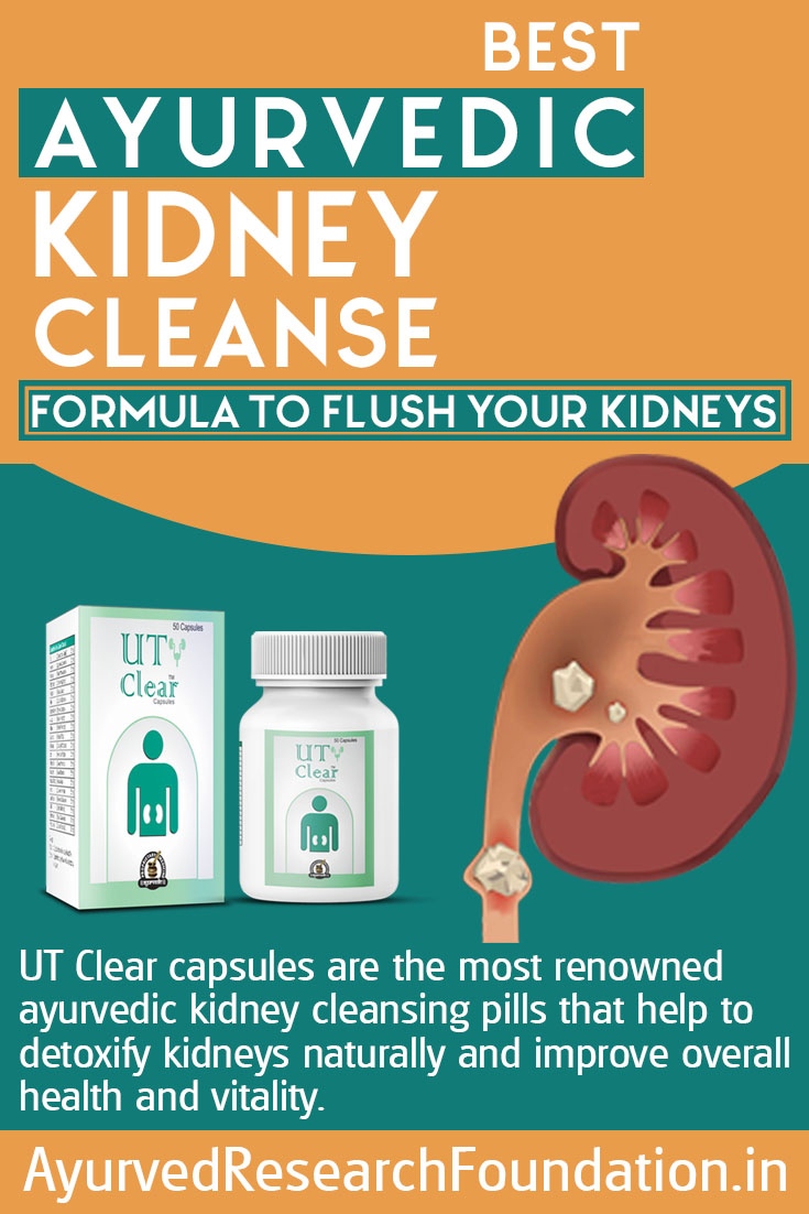 Ayurvedic Kidney Cleanse Infographic