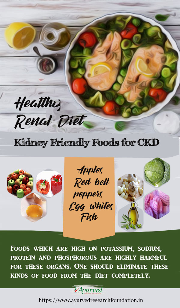 Healthy Renal Diet