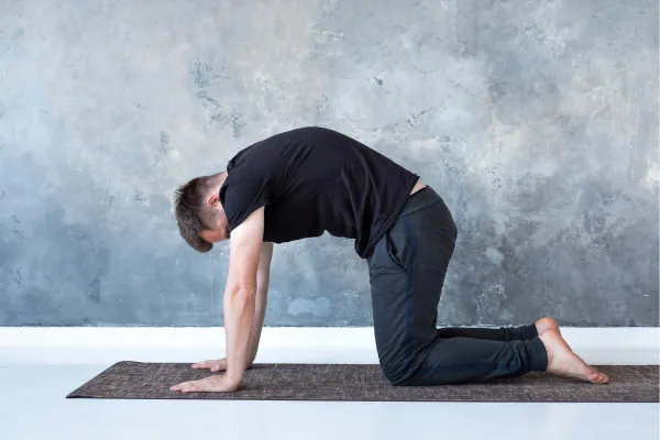 Cat-Cow Stretch, Marjariasana Bitilasana मार्जरी आसन - बिटिलासन
