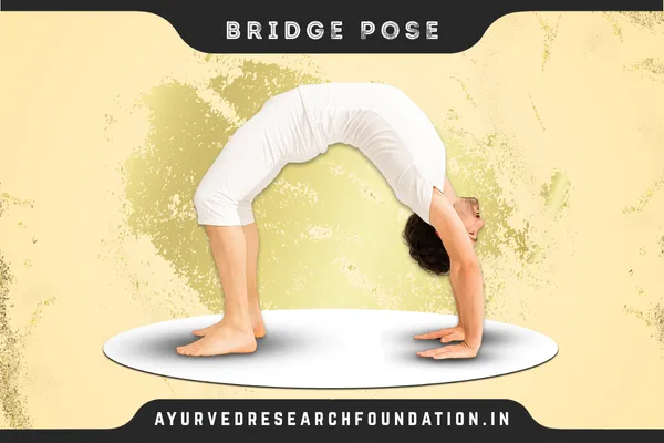 Bridge Pose, सेतुबंधासन