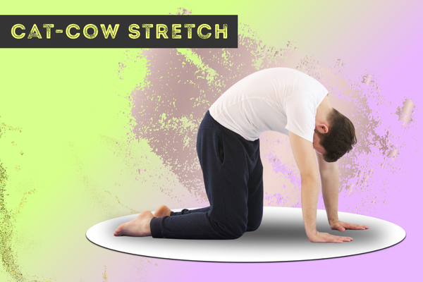 Cat-Cow Stretch, कैट-काउ आसन, चक्रवाकासन, मार्जर्यासन-बिटिलासन