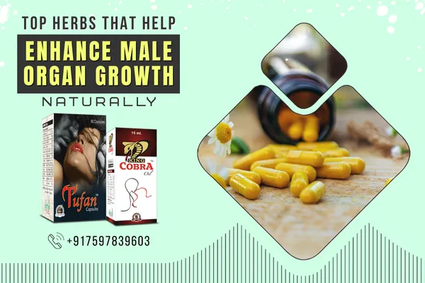 How to Grow Girth Size Naturally, Maintain Hardness for Longer in Bed