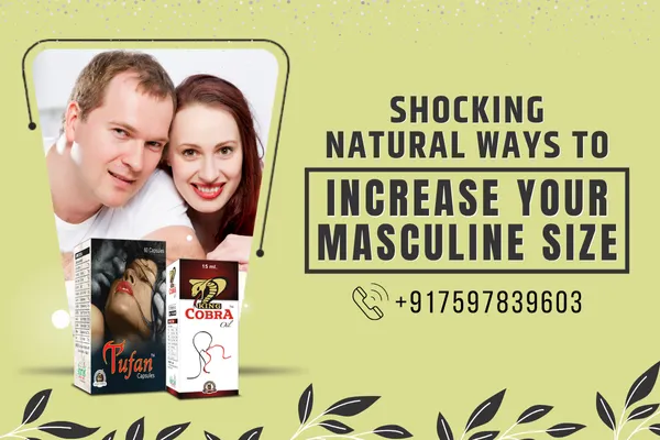 How to Make The Male Organ Strong and Hard for Longer In Bed