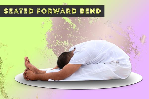 Seated Forward Bend, पश्चिमोत्तानासन, Paschimottanasana