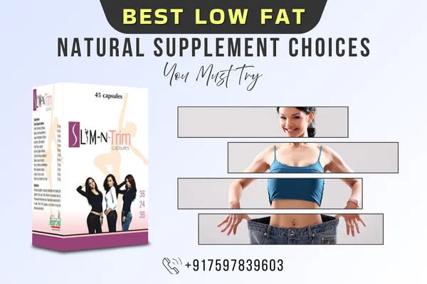 low fat diet meal plan with healthy recipes